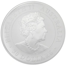 2020 1kg Silver Australian Koala