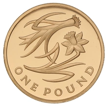 Gold Proof 2013 £1 Wales Floral