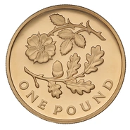 Gold Proof 2013 £1 One Pound England Floral