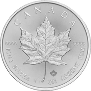 Canadian Maple