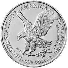 2021 1oz American Eagle Silver Coin Type II