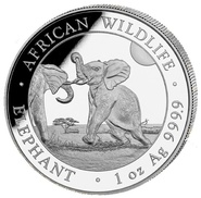 Somalian African Wildlife Silver Coins