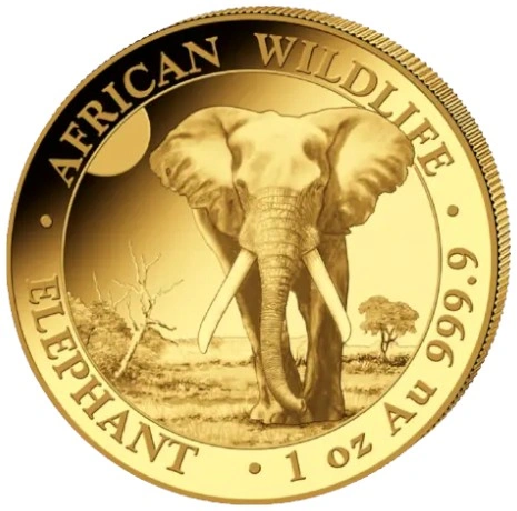 2025 1oz African Wildlife Elephant Gold Coin