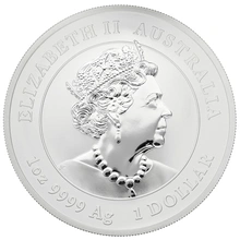 1oz Perth Mint Silver Year of the Mouse 2020