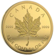 Canadian MapleGram 1g Gold Coins