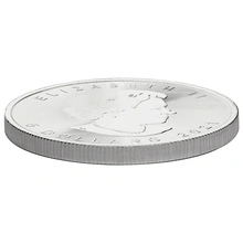 2021 1oz Canadian Maple Silver Coin