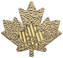 2024 1oz Canadian Maple Gold Coin