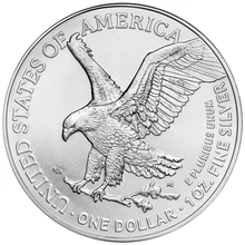 2024 1oz American Eagle Silver Coin