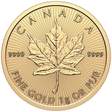 2026 MapleGram 25 x 1g Gold Coins