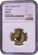 Graded Small Britannias