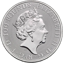 2019 Platinum Britannia Coin 1oz