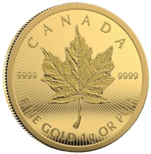 2022 MapleGram 25 x 1g Gold Coins