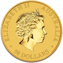 2013 1/2oz Australian Kangaroo Gold Nugget Coin