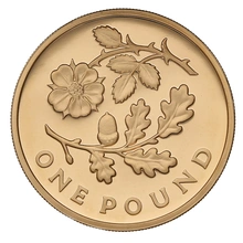 2013 Proof Gold £1 Pound Coin England Floral
