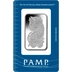 100g Platinum Bars