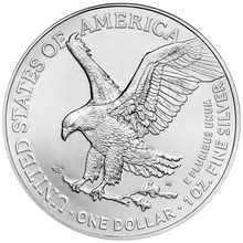 2025 American Silver Eagle Coin 1oz