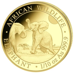 Somalian African Wildlife