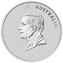 2025 5oz Perth Mint Lunar Year of the Snake Silver Coin