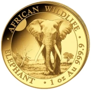 2025 1oz African Wildlife Elephant Gold Coin