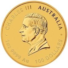 2025 1oz Perth Mint Year of the Snake Gold Coin