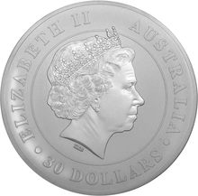 2016 1kg Silver Australian Koala