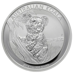 Australian Koala