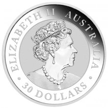 2022 1KG Silver Kookaburra