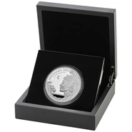 2024 Britannia 5oz Silver Proof Coin Boxed