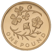 Gold Proof 2014 £1 One Pound Northern Ireland Floral Boxed