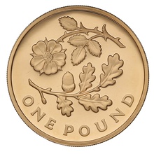 Gold Proof 2013 £1 England Floral