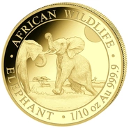 2024 Tenth Ounce Somalian Elephant Gold Coin