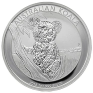 Australian Koala