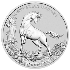Australian Silver Brumby