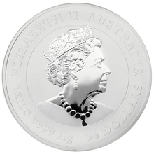 2020 Year of the Mouse Silver Coin 1kg Perth Mint Australian Lunar Series