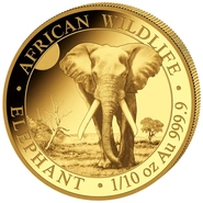 2025 1/10oz African Wildlife Elephant Gold Coin